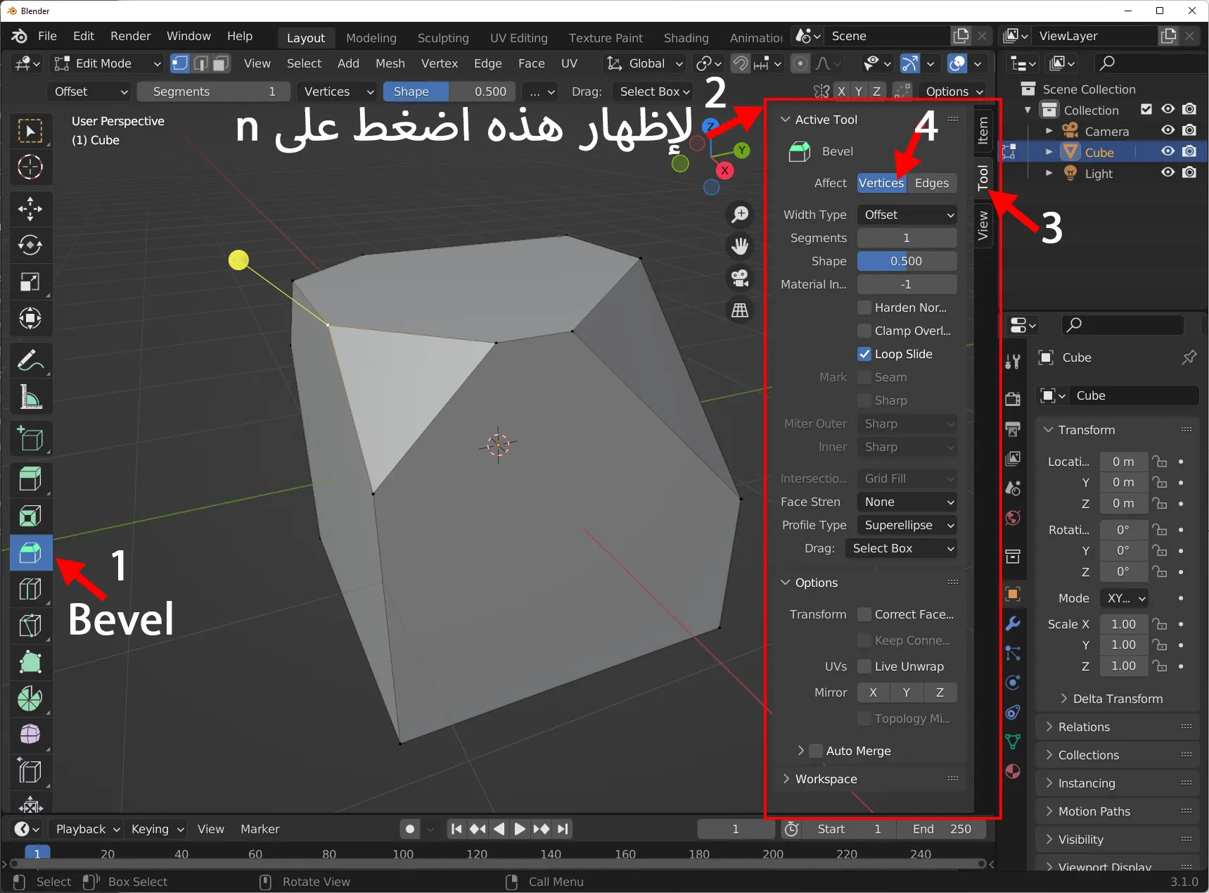 Blender Mesh info